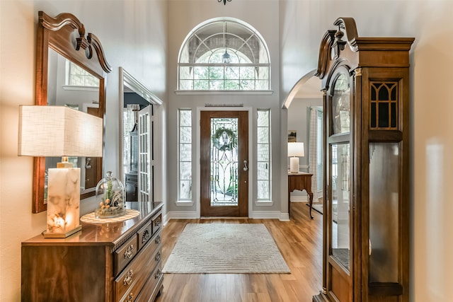 entryway with a towering ceiling and light wood-type flooring