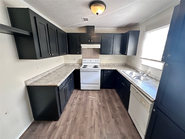 kitchen with a textured ceiling, wood-type flooring, ornamental molding, sink, and white appliances