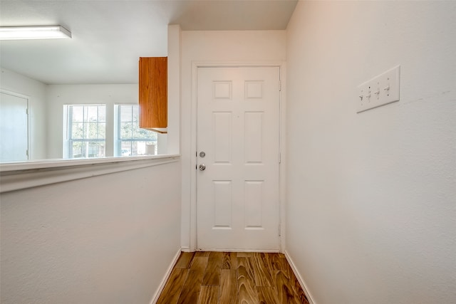 entryway with wood-type flooring