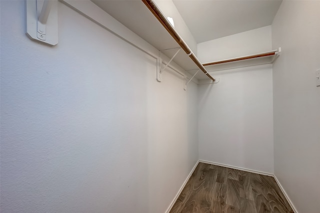 spacious closet with dark wood-type flooring