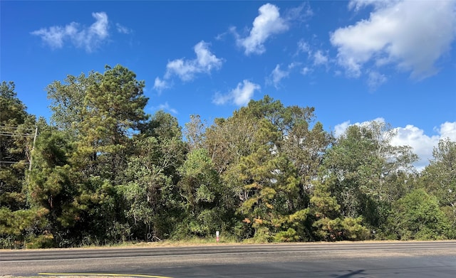 OFFOF Fm-1409, Old River-Winfree TX, 77535 land for sale