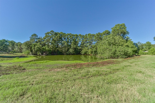 Listing photo 2 for 140 Little Road Loop, New Waverly TX 77358