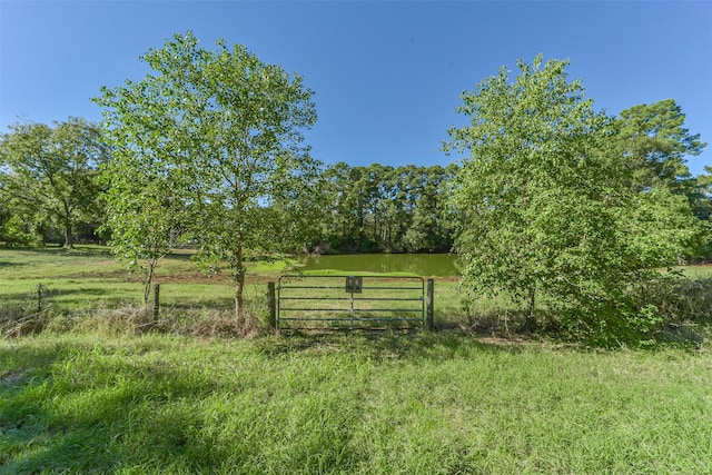 140 Little Road Loop, New Waverly TX, 77358 land for sale