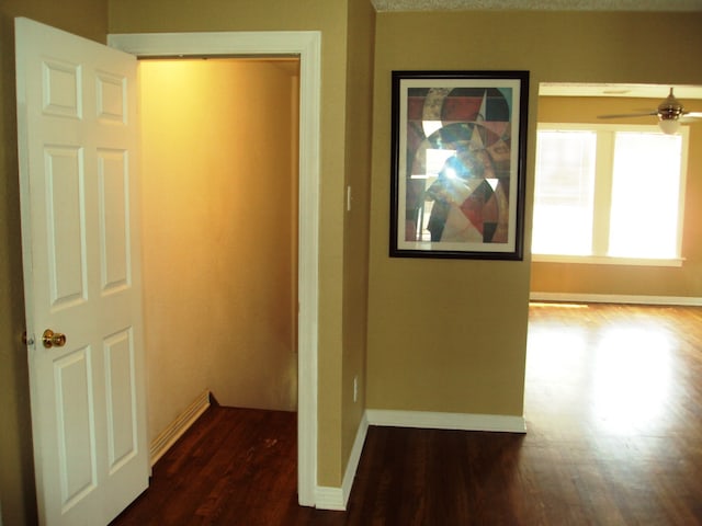 hall with dark hardwood / wood-style flooring