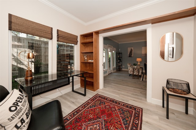 interior space featuring ornamental molding, light hardwood / wood-style flooring, and plenty of natural light