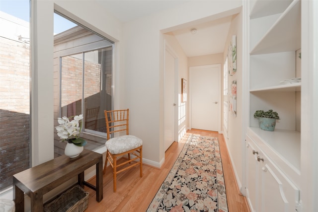 hall featuring light wood-type flooring and plenty of natural light