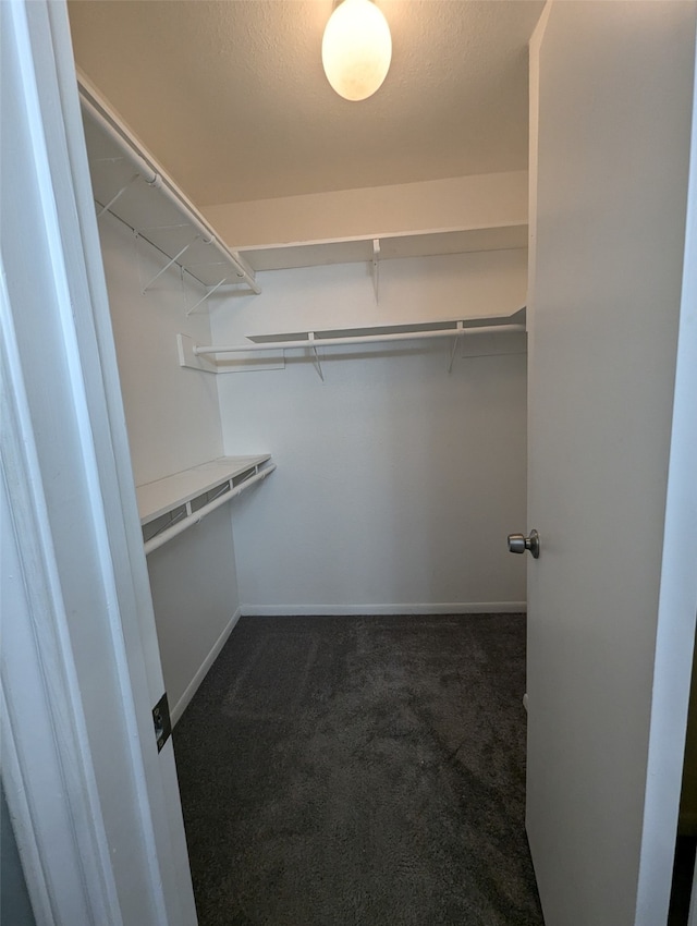 spacious closet with dark colored carpet