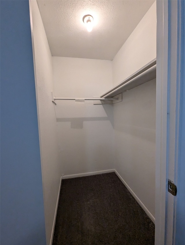 walk in closet featuring carpet floors