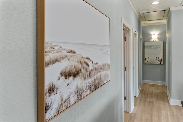 hallway featuring light wood-type flooring