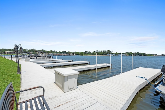 dock area with a water view