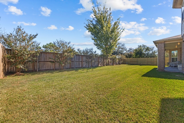 view of yard featuring a patio