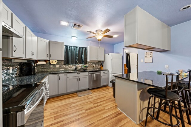 kitchen with sink, ceiling fan, stainless steel appliances, light hardwood / wood-style flooring, and exhaust hood