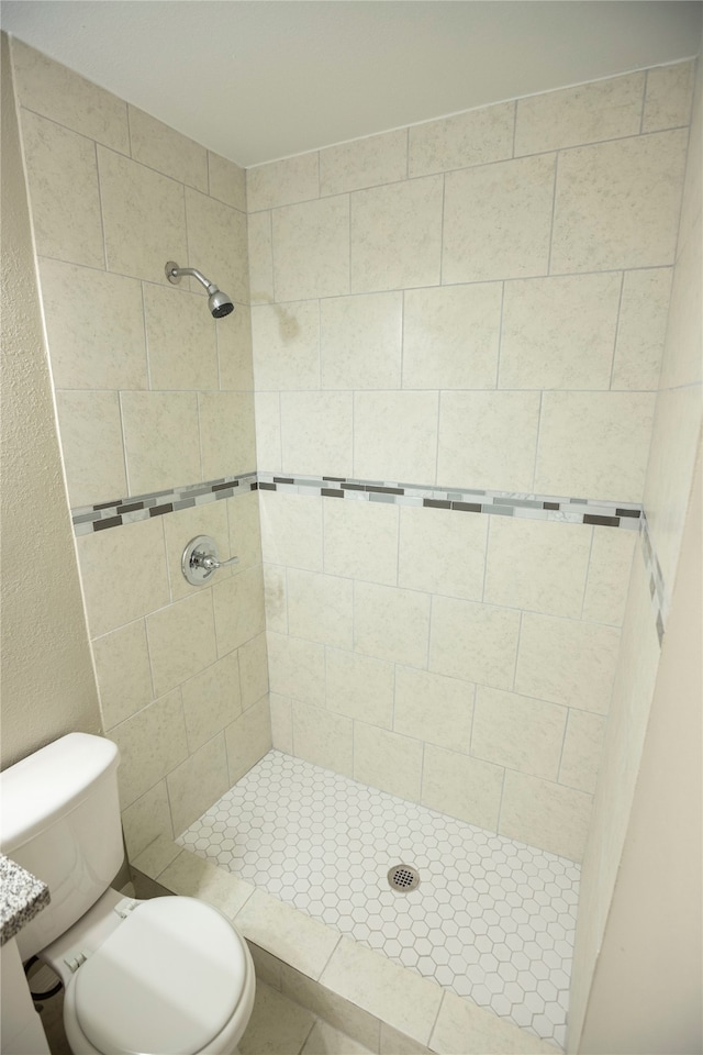 bathroom with toilet, vanity, and a tile shower