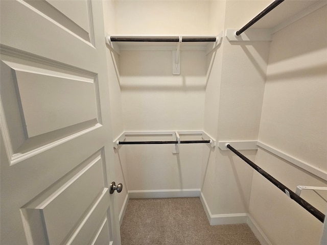 spacious closet featuring light carpet