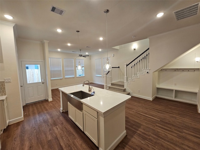 kitchen with ceiling fan, sink, dark hardwood / wood-style floors, hanging light fixtures, and an island with sink