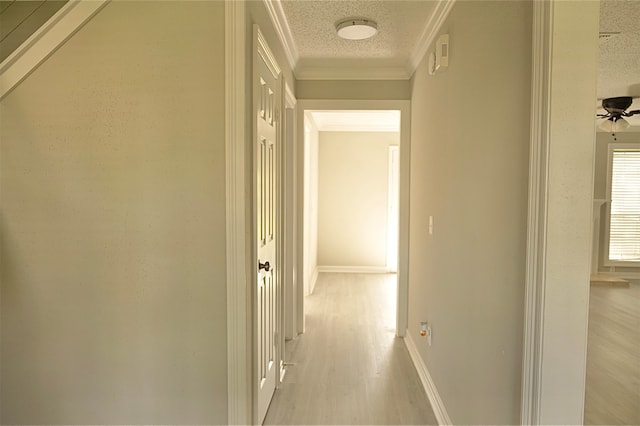 hallway with crown molding, a textured ceiling, and light hardwood / wood-style flooring