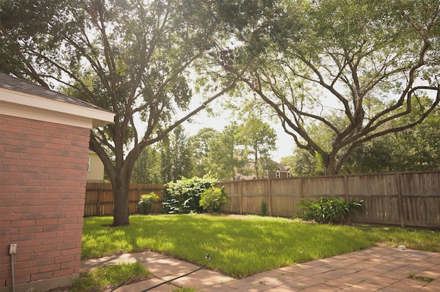 view of yard featuring a patio