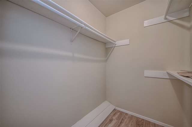 spacious closet featuring light hardwood / wood-style flooring