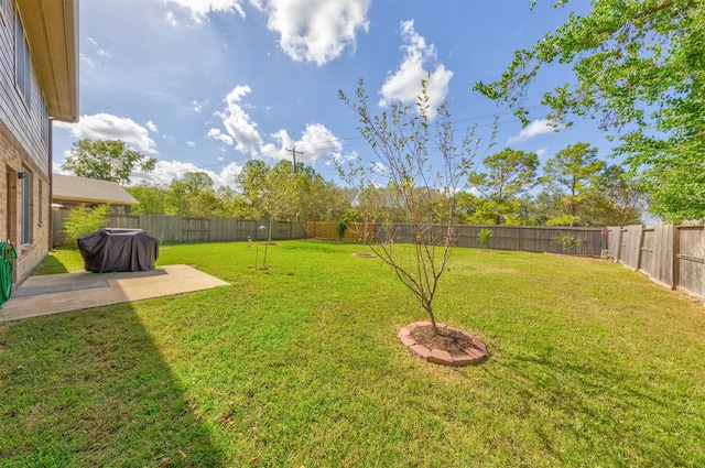 view of yard with a patio area