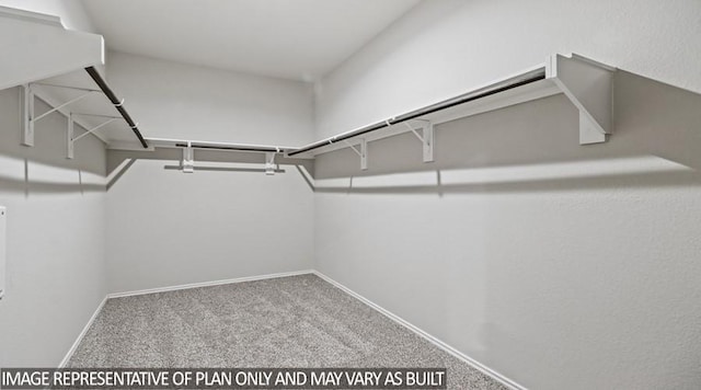 40746 Rosemary Rain, Magnolia, TX 77354 - walk in closet featuring carpet flooring