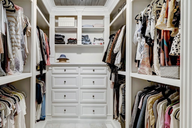 view of spacious closet