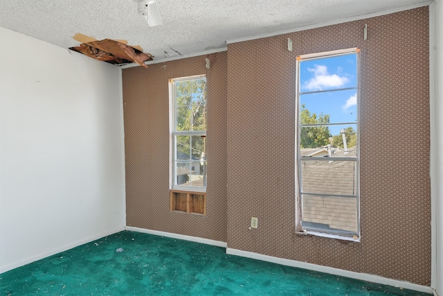 spare room with a textured ceiling and carpet floors