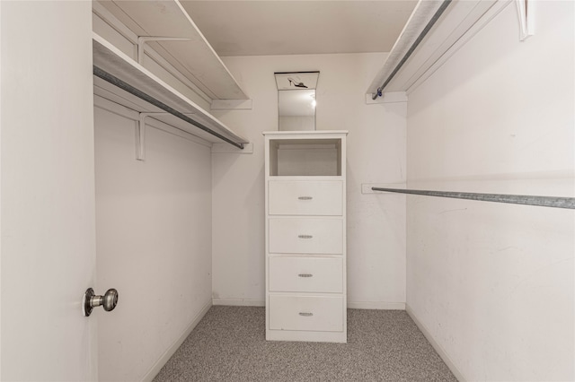 spacious closet featuring light colored carpet