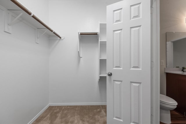 spacious closet with carpet floors