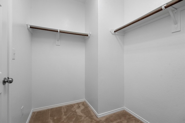 spacious closet with carpet