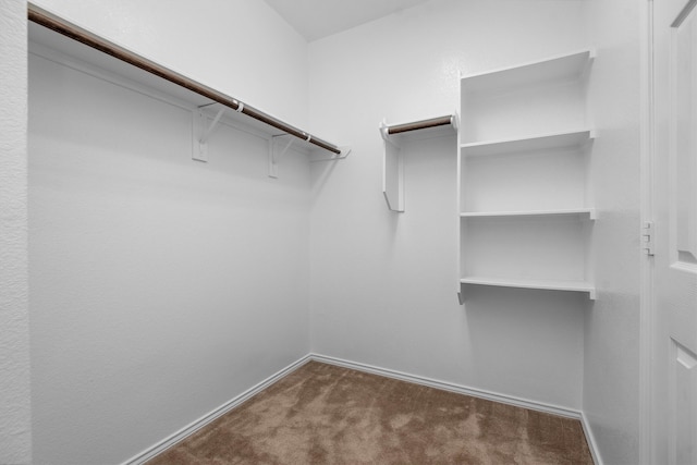 walk in closet featuring dark colored carpet