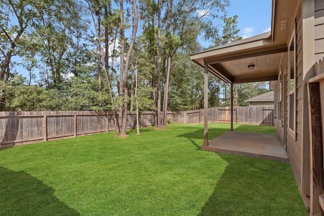 view of yard featuring a patio area