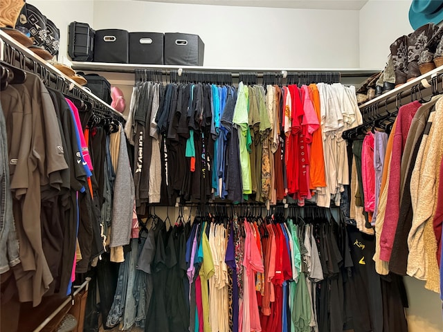 view of spacious closet