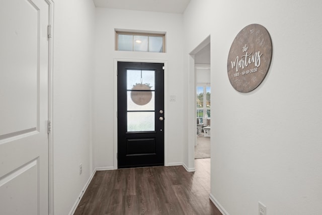 entrance foyer featuring dark hardwood / wood-style flooring