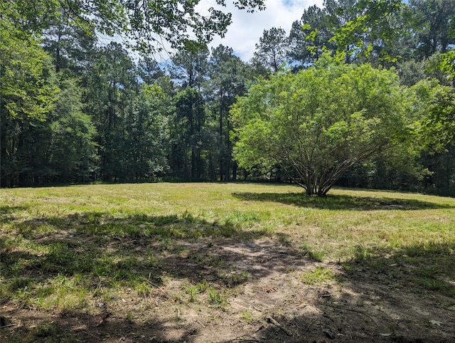 Listing photo 3 for 168 Boyds T, Onalaska TX 77360