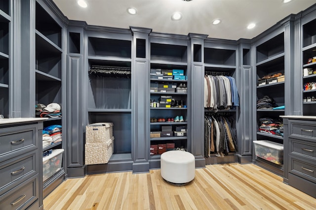 spacious closet featuring wood-type flooring