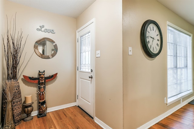 entryway with wood-type flooring