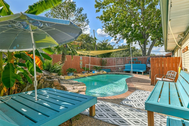 view of pool with a patio