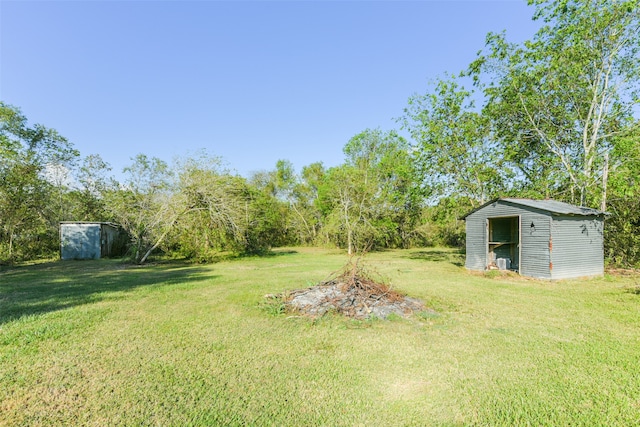 view of yard with a storage unit