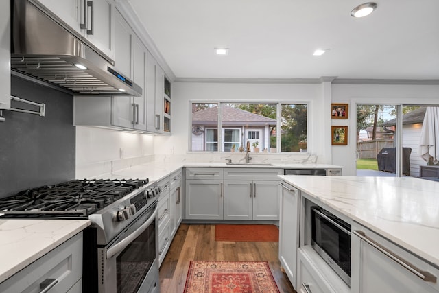 kitchen featuring dark hardwood / wood-style floors, ornamental molding, sink, light stone countertops, and appliances with stainless steel finishes