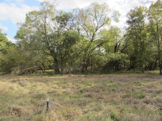 Listing photo 3 for TBD Park Ln, Huntsville TX 77320