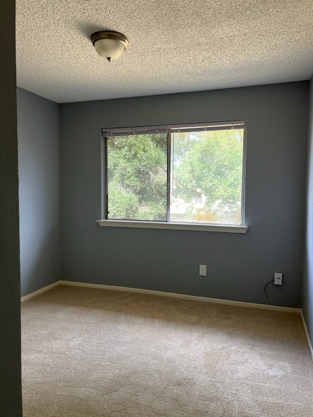 spare room featuring carpet and a textured ceiling