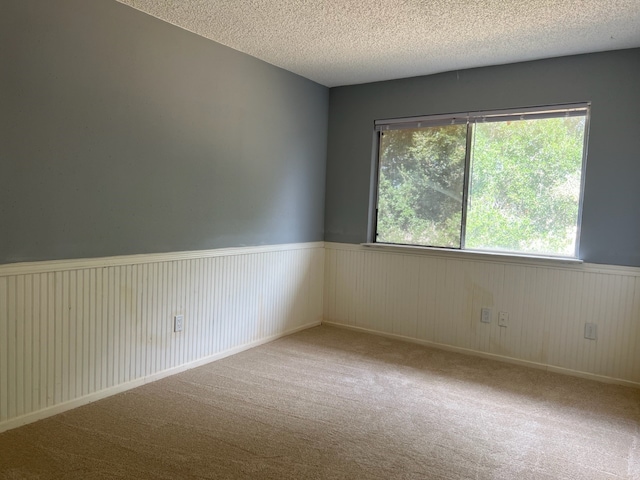 carpeted empty room with a textured ceiling and wood walls