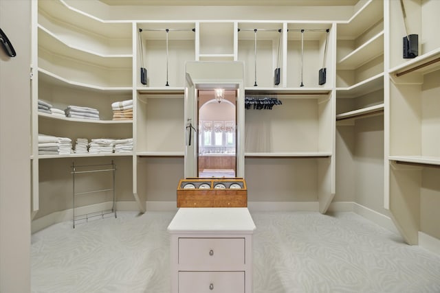 spacious closet featuring light colored carpet