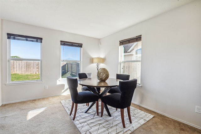 carpeted dining space with plenty of natural light