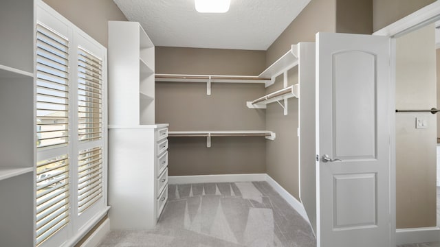 spacious closet with light colored carpet