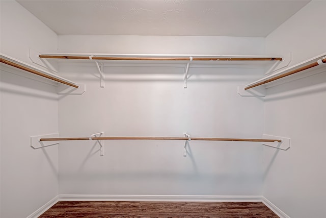 walk in closet with dark hardwood / wood-style floors