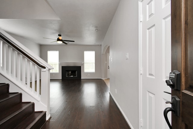 living room with ceiling fan and dark hardwood / wood-style floors