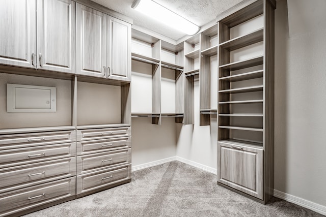 walk in closet featuring carpet flooring