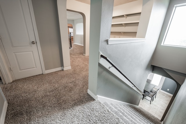 stairway with carpet