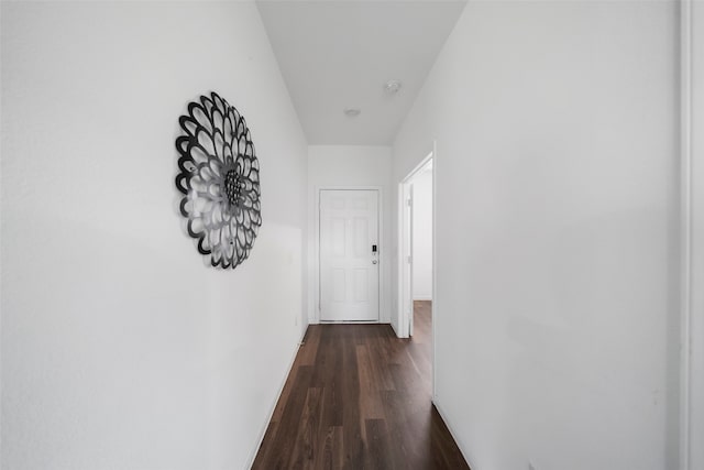 hallway with dark hardwood / wood-style floors